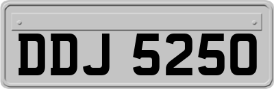 DDJ5250