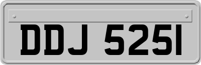 DDJ5251