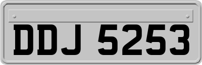 DDJ5253
