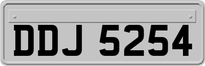 DDJ5254