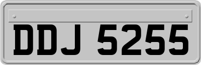 DDJ5255
