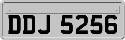 DDJ5256