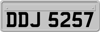 DDJ5257