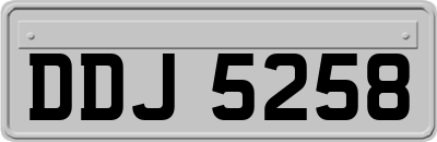 DDJ5258