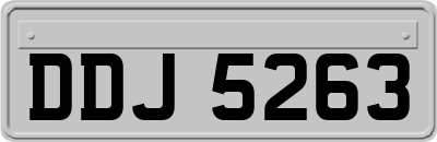 DDJ5263