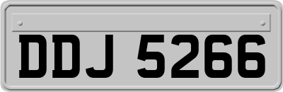 DDJ5266