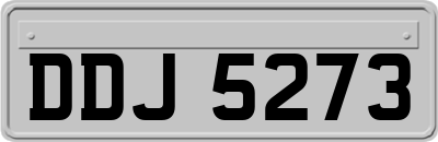 DDJ5273