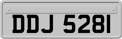 DDJ5281