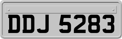 DDJ5283
