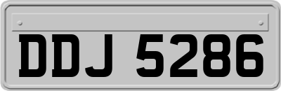 DDJ5286