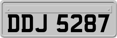 DDJ5287