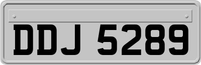 DDJ5289