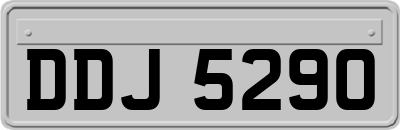 DDJ5290
