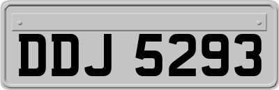 DDJ5293