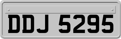 DDJ5295