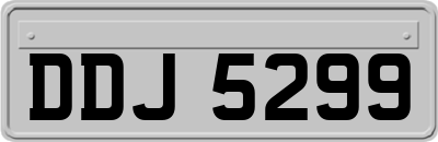 DDJ5299