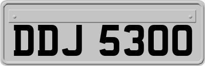DDJ5300
