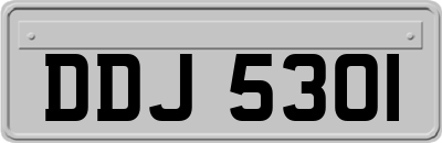 DDJ5301