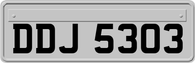 DDJ5303