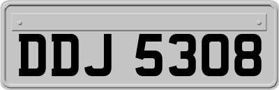 DDJ5308