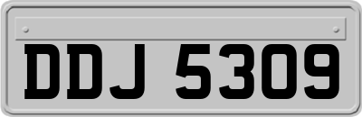 DDJ5309