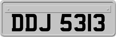 DDJ5313