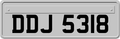 DDJ5318