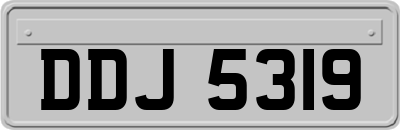 DDJ5319