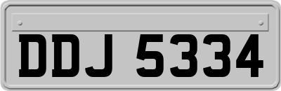 DDJ5334