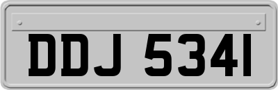 DDJ5341