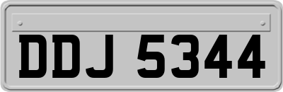 DDJ5344