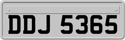 DDJ5365