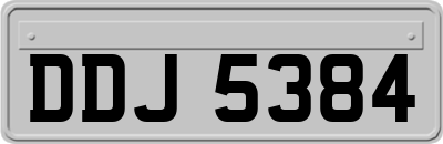 DDJ5384