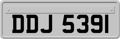 DDJ5391