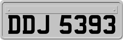 DDJ5393