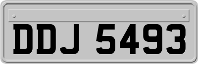 DDJ5493