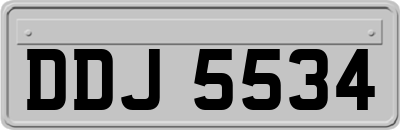 DDJ5534