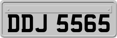 DDJ5565