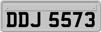 DDJ5573