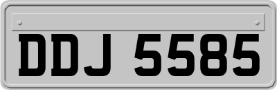 DDJ5585