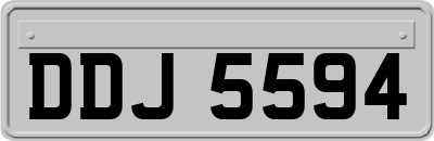 DDJ5594