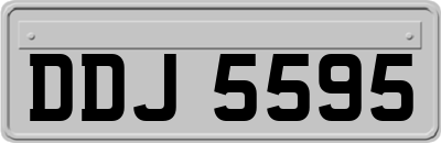 DDJ5595