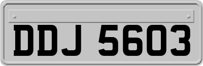 DDJ5603