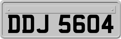 DDJ5604