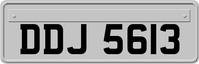 DDJ5613