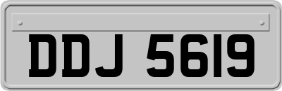 DDJ5619