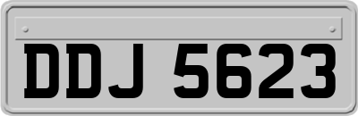 DDJ5623