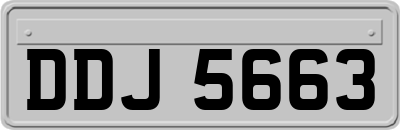 DDJ5663