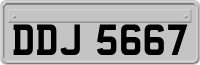 DDJ5667