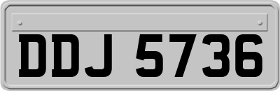 DDJ5736